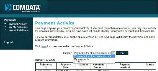 Payment Activity Display Options